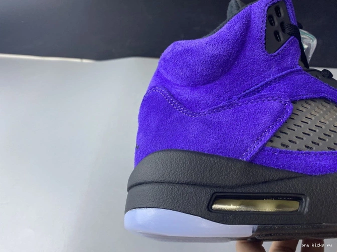 Chep Onekick Retro Air Alternate Grape 136027-500 Jordan 5 0719